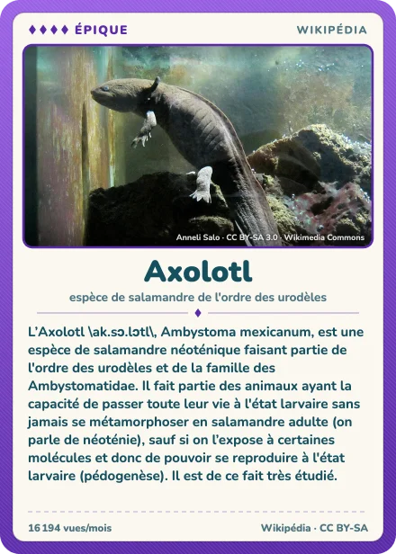 Carte Lexicodex « Axolotl », épique