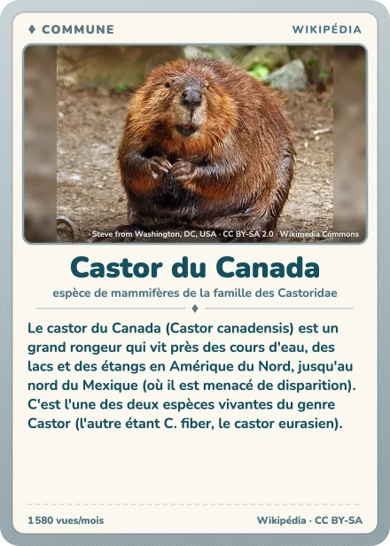 Carte Lexicodex « Castor du Canada », commune