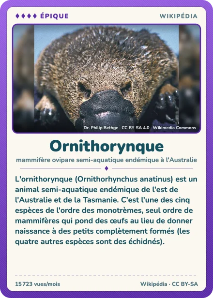 Carte Lexicodex « Ornithorynque », épique
