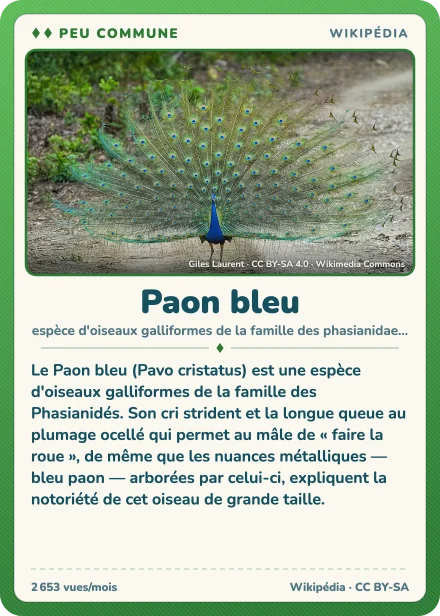 Carte Lexicodex « Paon bleu », peu commune