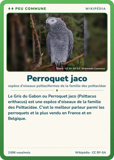 Carte Lexicodex « Perroquet jaco », peu commune